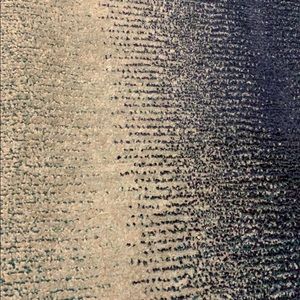 Meet your Posher, Samuel